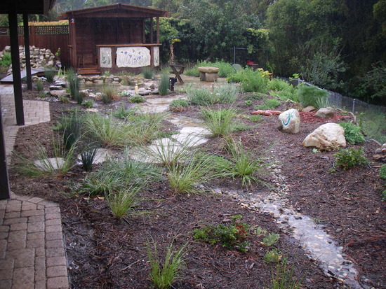 bioswale rainwater