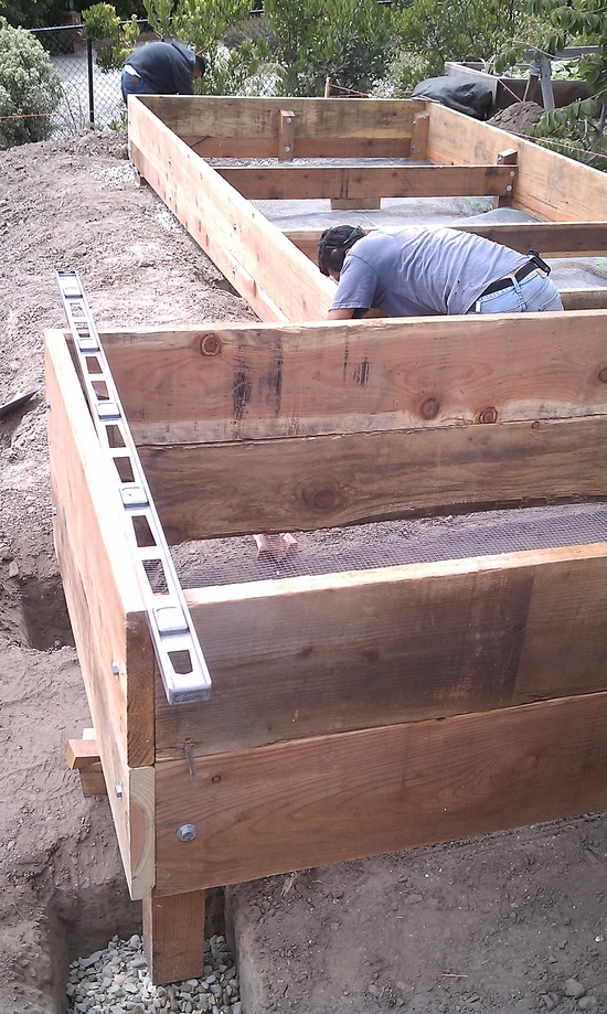 building veggie boxes