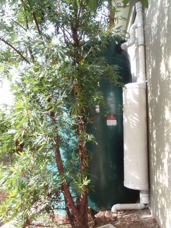 rainwater filtration