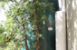 rainwater filtration