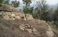 slope planting