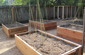 veggie bed complex