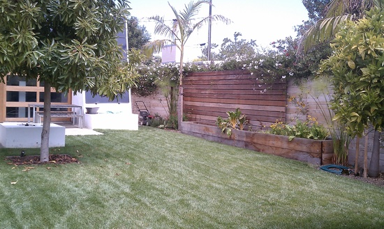 planter and fence
