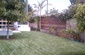 planter and fence