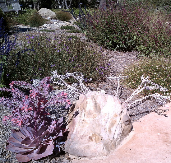 boulder light