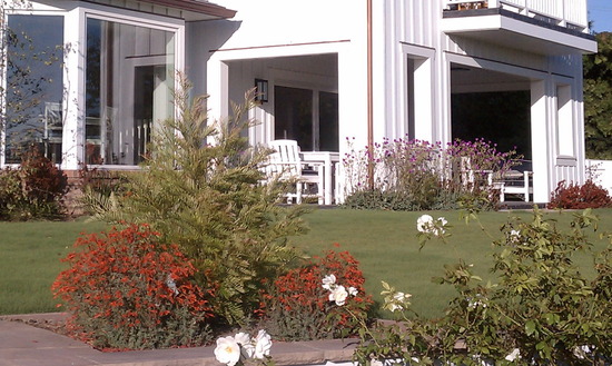CA friendly plantings