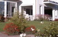 CA friendly plantings