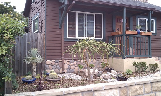 succulent garden small