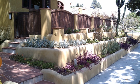 succulent garden terraces