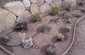 drip irrigation succulents