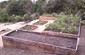 raised planting beds