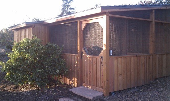 chicken coop deluxe