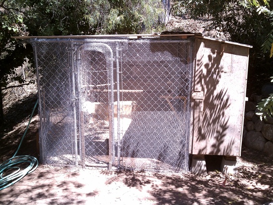 predator proof chicken coop