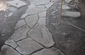 rustic joints flagstone with plantings