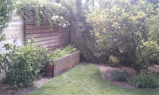 maintain gardens