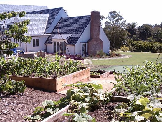 maintenance of food gardens