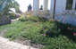 CA friendly plantings
