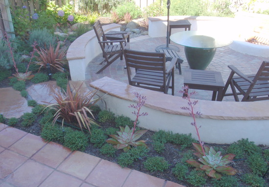 Backyard patio with CA friendly plantings