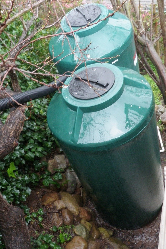 Rainwater system 