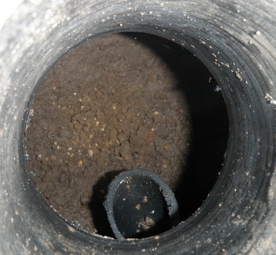 Greywater system
