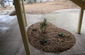 New life for old concrete
