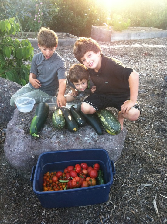 Home Food Forest