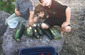 Home Food Forest