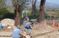 Small