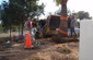 Transplanting large palm tree at SB Co Fire Department Headquarters