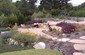 2011 Judges Choice/Best in Class Award landscape