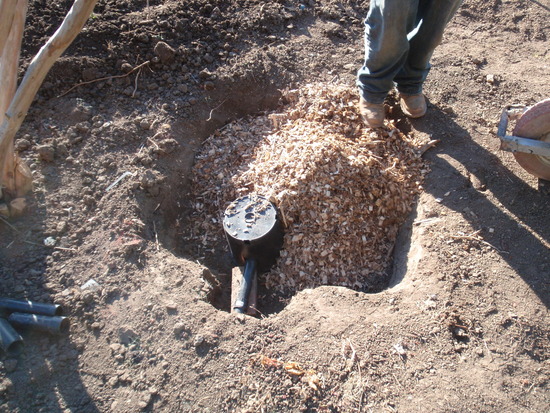 Laundry greywater mulch basin