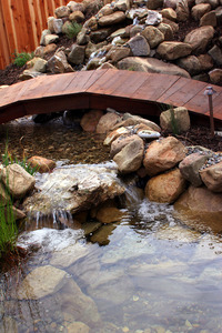 Pond Waterfall
