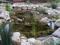 Pond with Beach