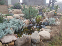 Stream and Pond System