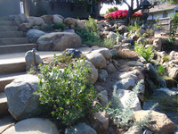 Stream Sitting Area