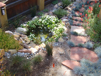 Small Pond