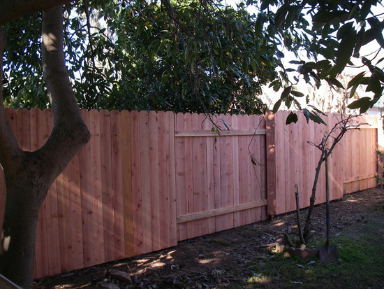 Backyard & Sideyard Fences