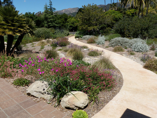 California Friendly Plants