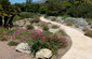 California Friendly Plants