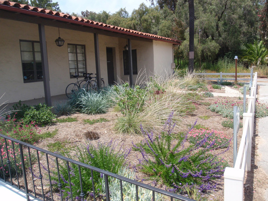 Drought Tolerant Landscaping