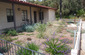 Drought Tolerant Landscaping