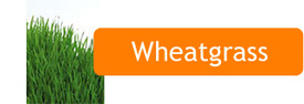 smush_aw_nav_button_juicer_wheatgrass.jpg