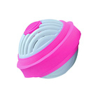 Robbyfuchsia440