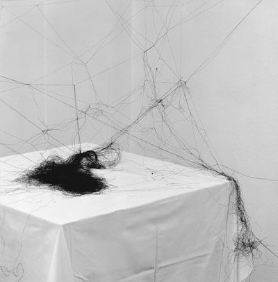 Self%20performing,%20galerie%20merkle%202010%20211