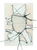 Drucksol_heirat_rs