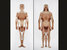 trans hybrids
