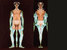 trans hybrids