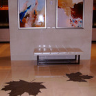 Custom Mosaic Floor Inlay