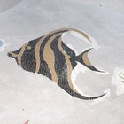 Fish Glass Mosaic