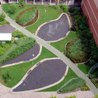 Barbara Steinman - leaf garden - Toronto